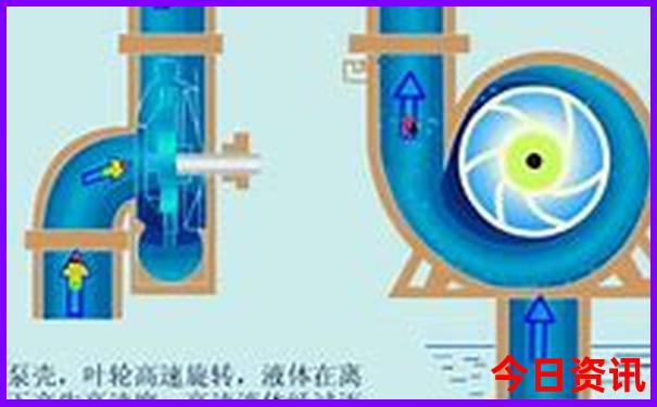 适合带娃的亲子游攻略